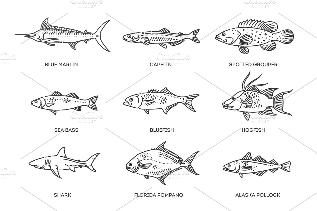 Saltwater fish set, an Animal Illustration by Tettygreen (Photo 3 of 3)