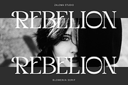 Blomenia, a Serif Font by Zaloma Studio (Thumbnail 10 of 18)