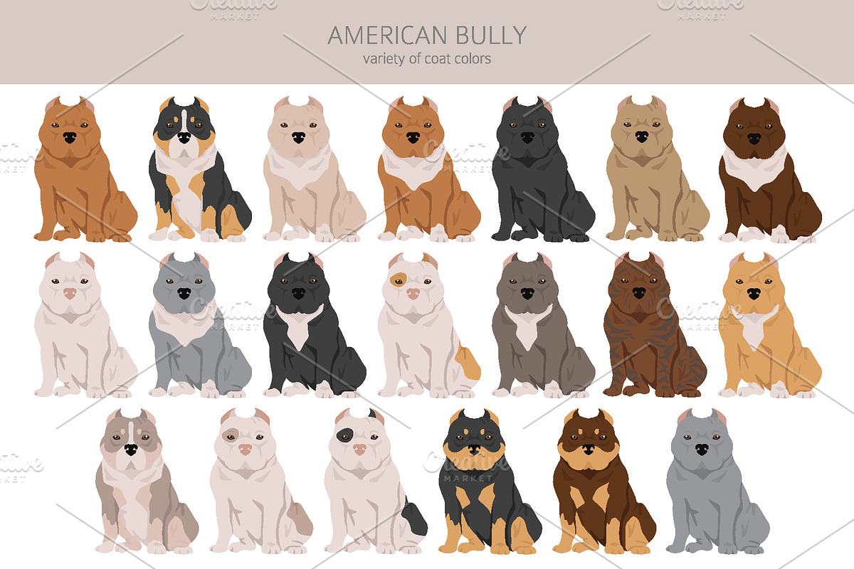 American bully clipart