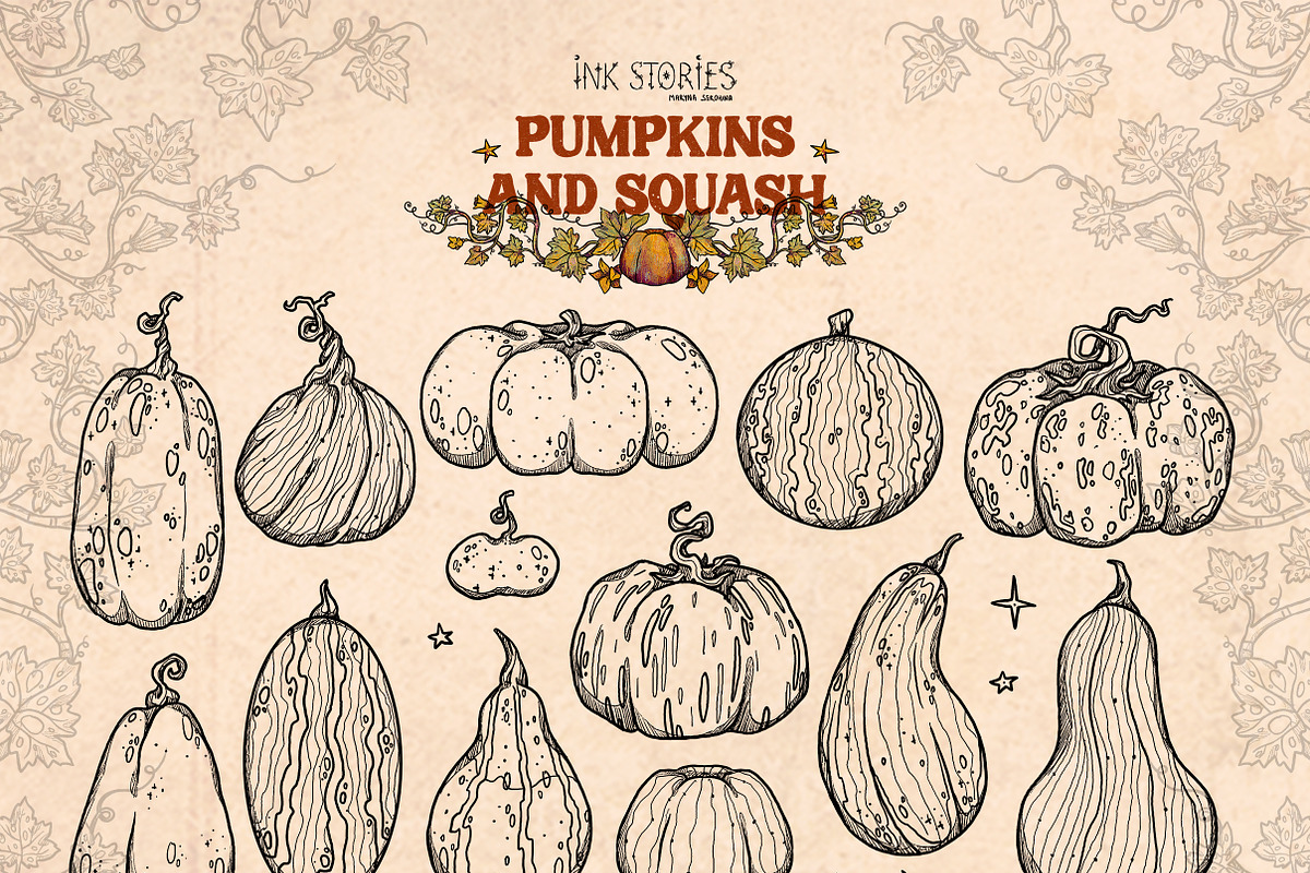 Pumpkins and Squash, a Seasonal Illustration by Ink Stories (Photo 4 of 20)
