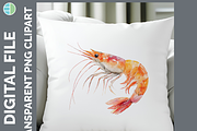 Marine Invertebrate Clipart, 25 PNG, an Animal Illustration by Enliven Designs (Thumbnail 7 of 8)