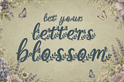 Aerisfly - Butterflies & Floral, a Script Font by HypeWorksCo (Thumbnail 4 of 17)