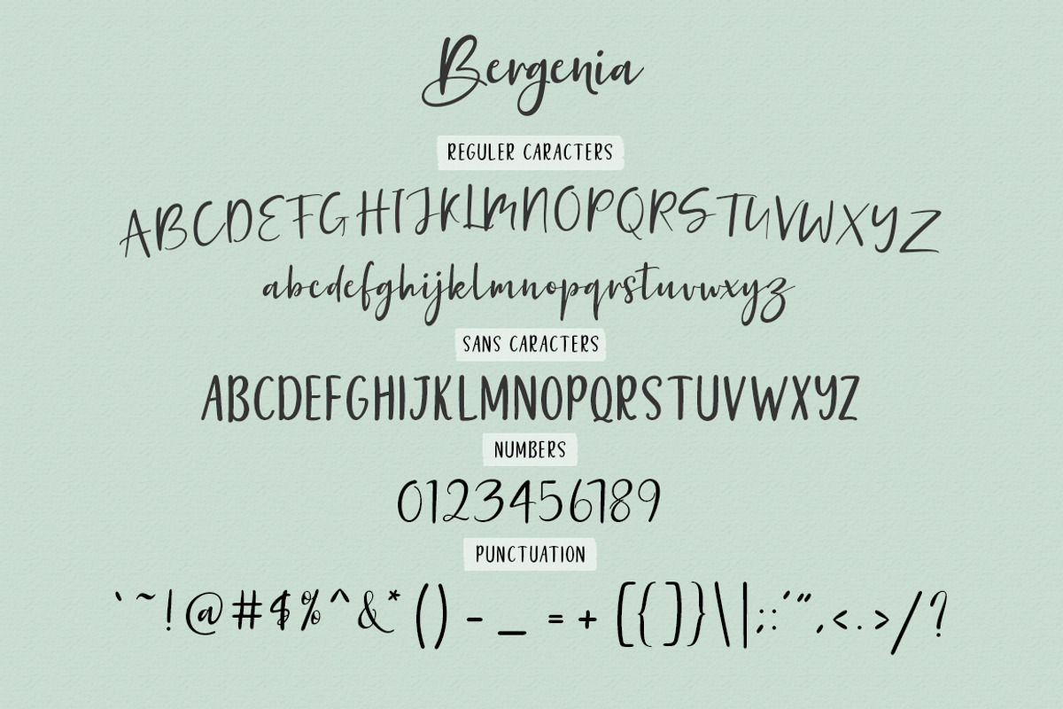 Bergenia Script FONT DUO, a Script Font by Zane Studio (Photo 8 of 8)