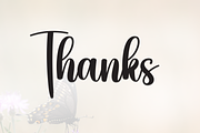 Butterfly | Script Font, a Handwritten Font by Scratchones (Thumbnail 8 of 8)