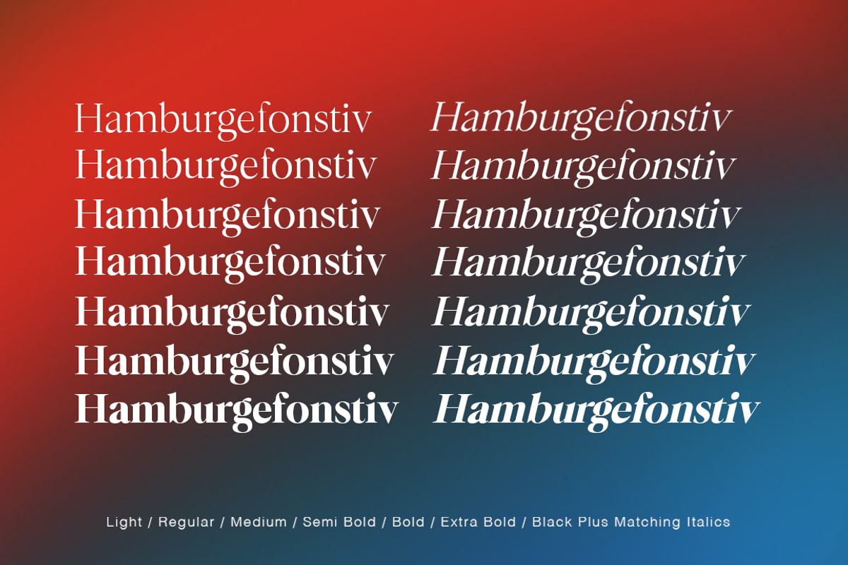 Bermula Serif, a Serif Font by Typehill (Photo 3 of 15)