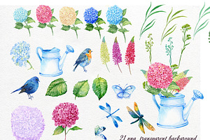 Hydrangea Watercolor Clipart