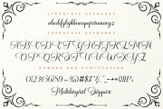 Andalucia, a Script Font by Pista Mova (Thumbnail 8 of 9)