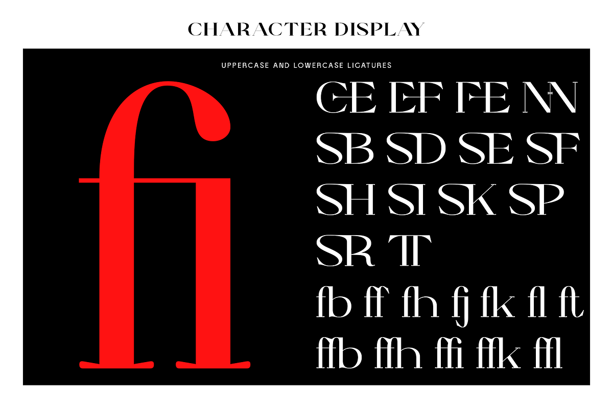 Elthia - Variable Serif, a Serif Font by Valentino Vergan (Photo 13 of 14)