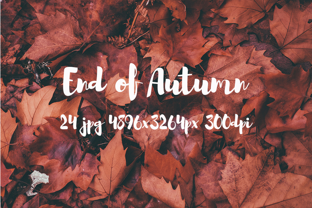 End of Autumn photo pack, a Templates & Theme by ApertureVintage (Photo 10 of 14)
