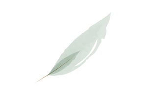 Gentle watercolor painted leaf in a, an Object Illustration by okskukuruza