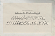 Bounthy Flow | Handwritten Script, a Script Font by Denustudios (Thumbnail 14 of 15)