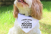 Dog Svg Bundle, Dog Cut Files, a Graphic by Buycreativedesign (Thumbnail 3 of 9)