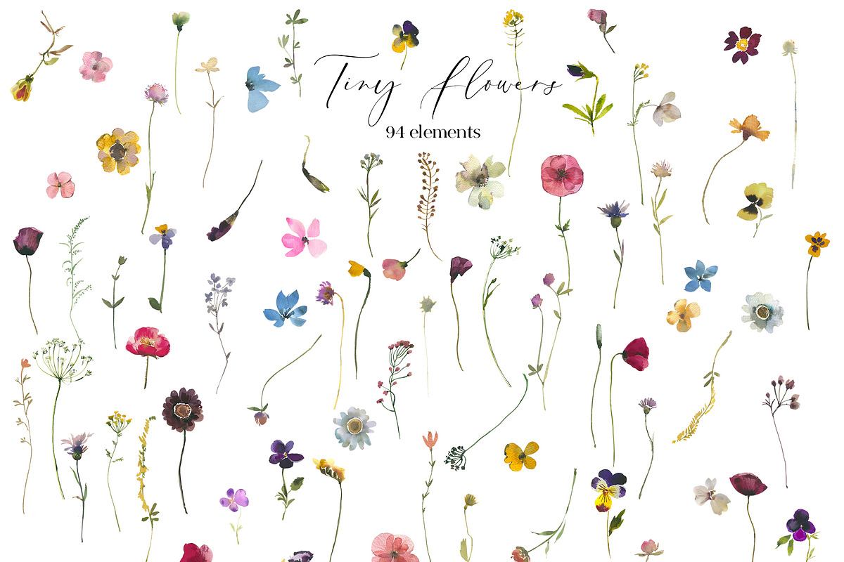 Tiny Flowers Pressed Floral Clipart, an Illustration by whiteheartdesign (Photo 16 of 17)