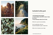 Mother Earth Brand Kit+Stock Images, a Branding & Logo Template by The Brand Alchemists (Thumbnail 6 of 9)