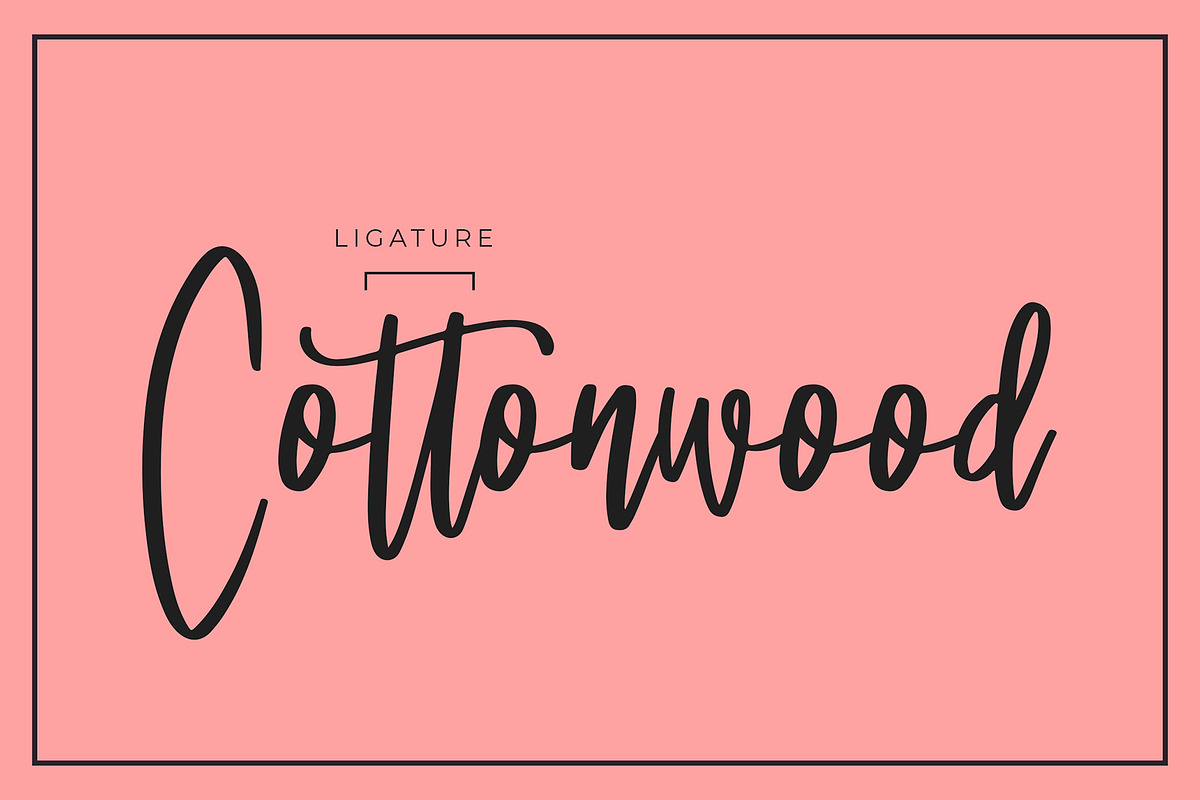 Esthes Brush Script Typeface preview 4