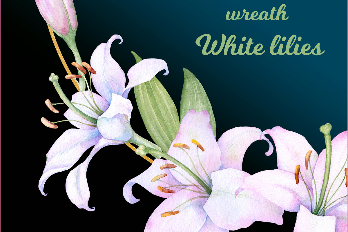 Watercolor clipart white lilies, an Illustration by EshaStudio (Photo 10 of 11)
