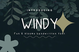 Windy - Clean Handwritten Font