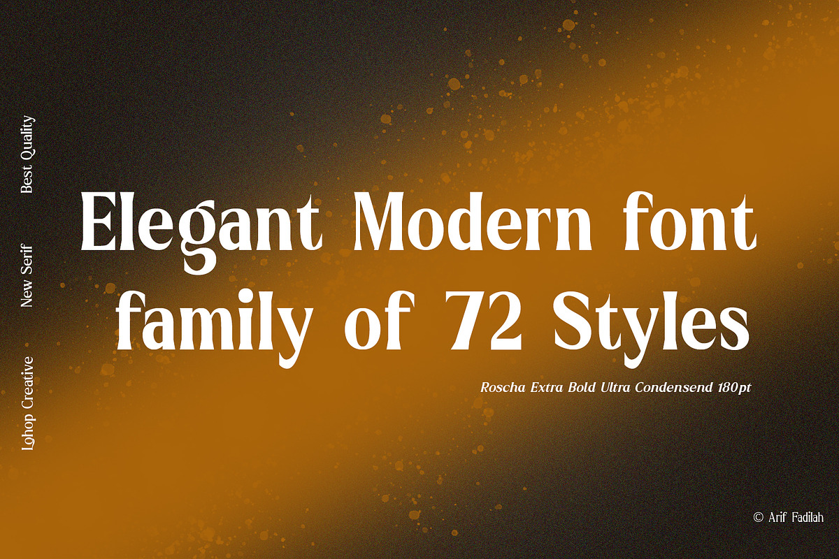Roscha | Modern Serif Font Disc 50%, a Serif Font by LuhopCreative (Photo 2 of 13)