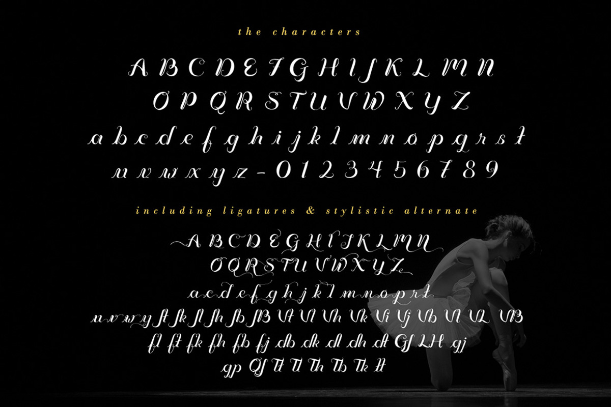 Vignette Script preview 4