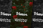 Saftoesa - Brush Font, a Handwritten Font by Dhabee (Thumbnail 13 of 14)