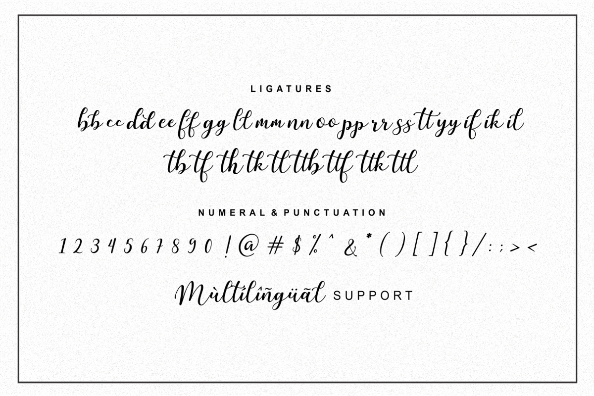 Martinesse - Beautiful Script Font, a Script Font by Sronstudio (Photo 14 of 14)