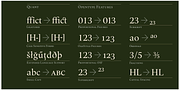 Quant, a Serif Font by Hoftype (Thumbnail 5 of 6)