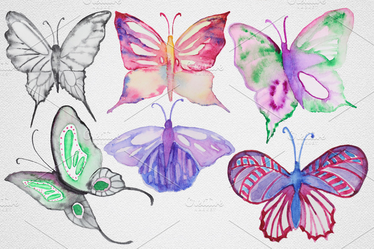 Watercolor Butterfly set #1, an Object Graphic by IvanFet (Photo 6 of 8)