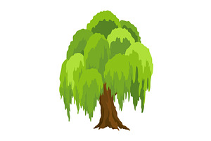 Kind of tree icon, willow, an Object Illustration by Things for designers