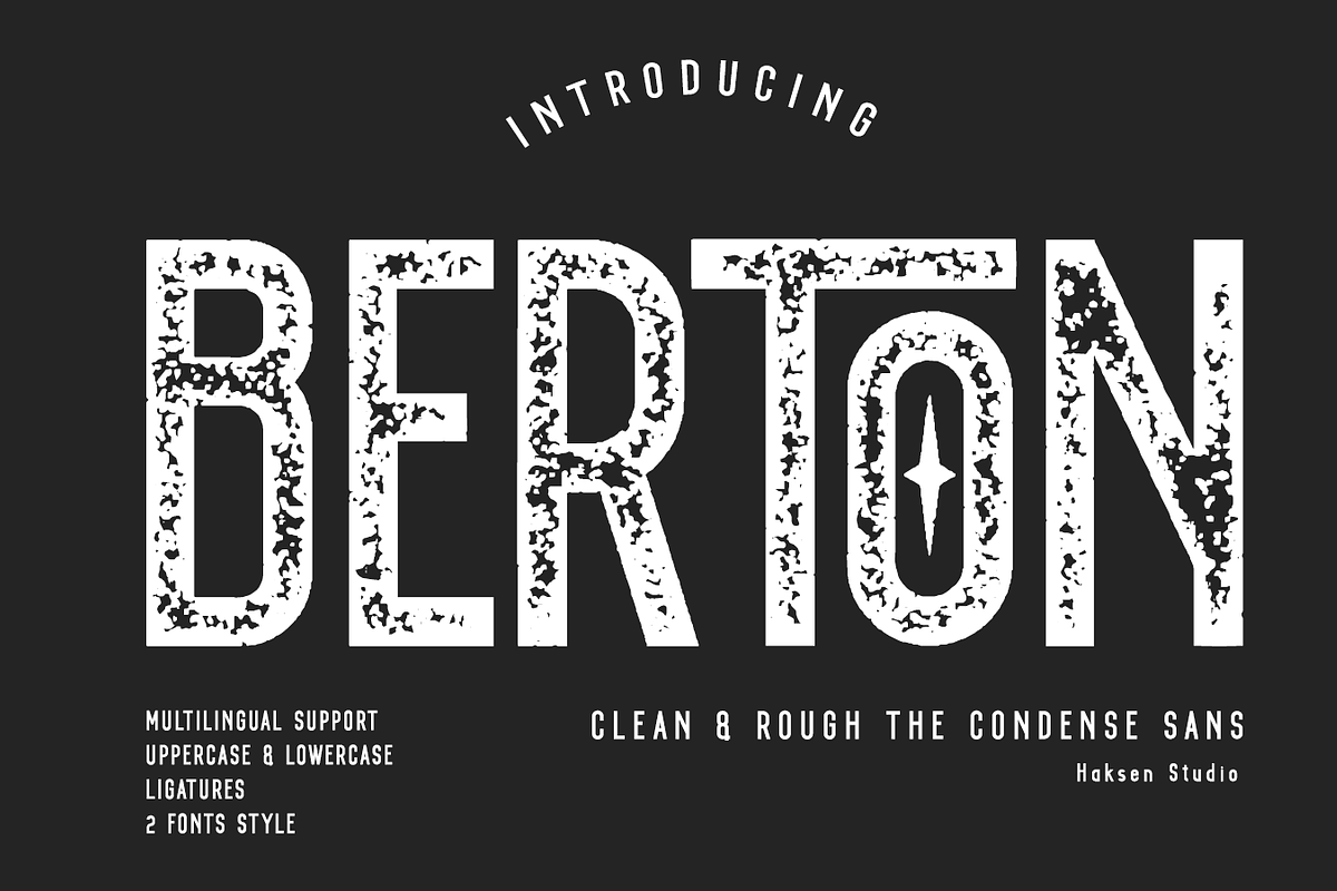 BERTON - Clean and Rough, a Sans Serif Font by Haksen (Photo 1 of 8)