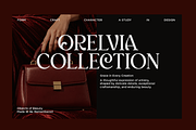 Delvira - Stylish Elegant Serif Font, a Serif Font by Font Liner (Thumbnail 6 of 10)
