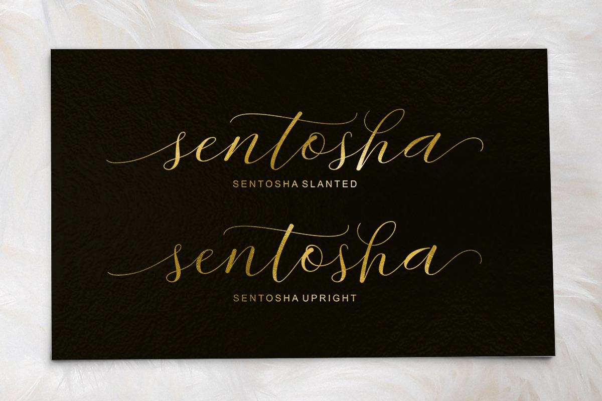 Sentosha Script preview 4