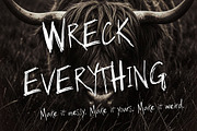 Wreck Back Crackerstype, a Handwritten Font by HypeWorksCo (Thumbnail 5 of 21)