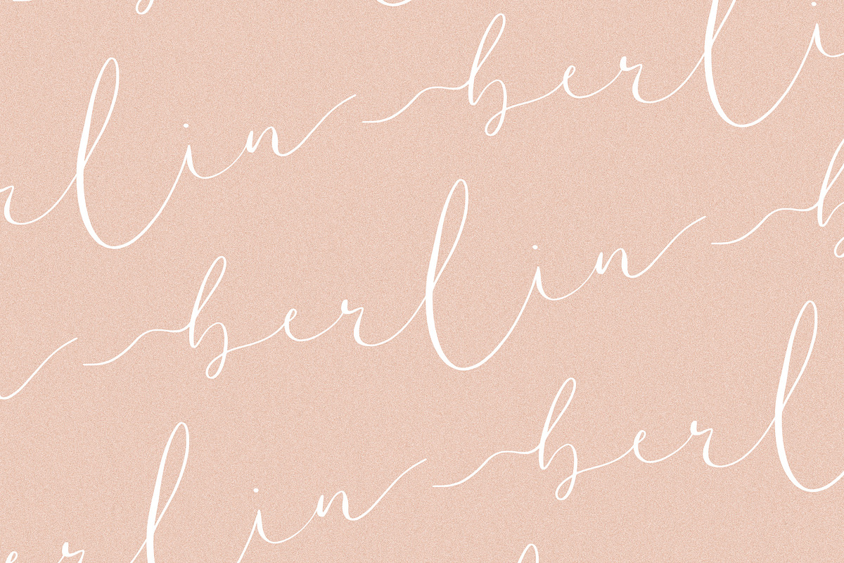 Amelie - Chic & Elegant Script Font preview 5