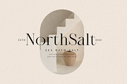 NT Epika, a Serif Font by nevsky.type (Thumbnail 10 of 10)
