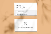 Professional Resume Template, CV, a Resume Template by VictoriousVita (Thumbnail 6 of 8)