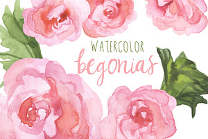 Watercolor Begonias Clip Art