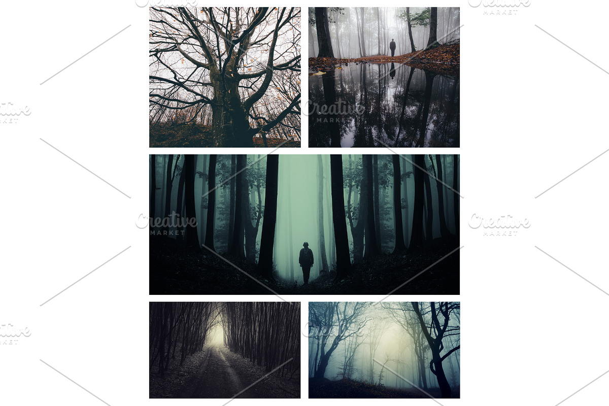 Haunted Halloween Forest Pack 1, a Holiday Photo by Atmospheric visuals (Photo 1 of 6)