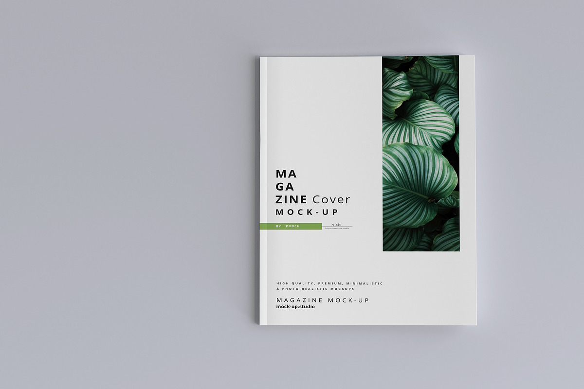 Magazine Mock-ups, a Print Template by pmvch (Photo 12 of 17)