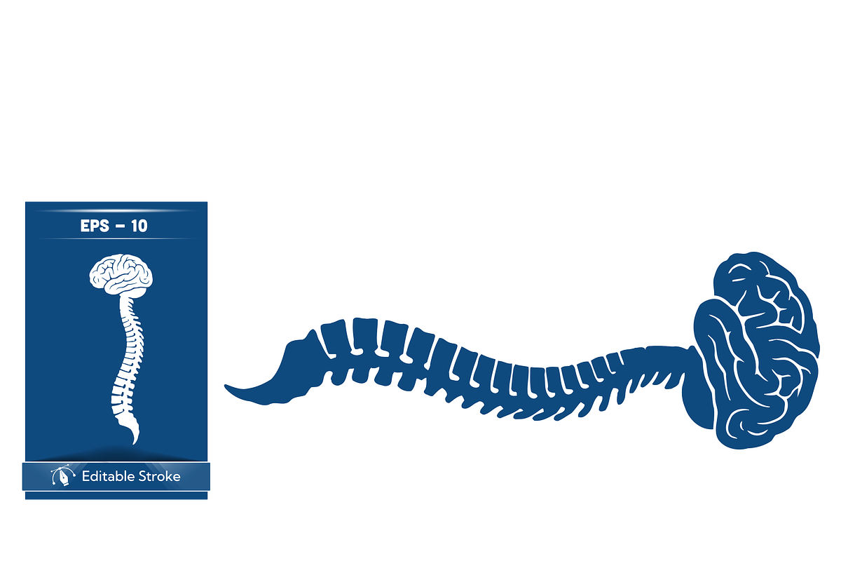 Stylized Spine and Brain Graphic, a Healthcare Illustration by CarWrap design (Photo 3 of 4)