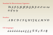 Eurotypo BKL Italic, a Script Font by Eurotypo (Thumbnail 5 of 8)