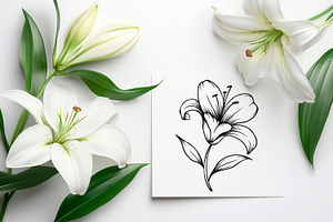 Lily Flowers Line Art SVG