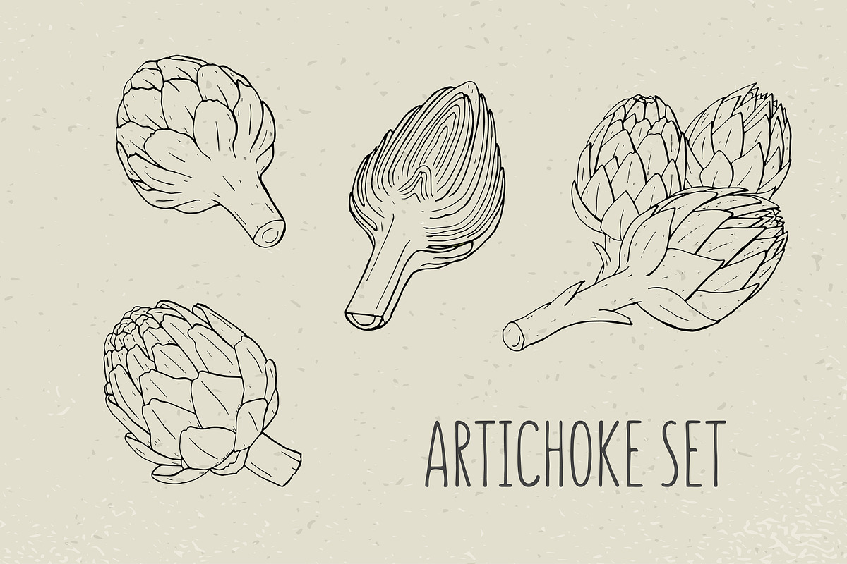 Artichoke, hand drawn set, patterns, a Decorative Illustration by Good Studio (Photo 2 of 8)