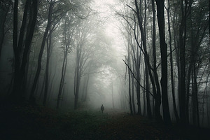 Man silhouette in scary forest stock photo containing dark and forest