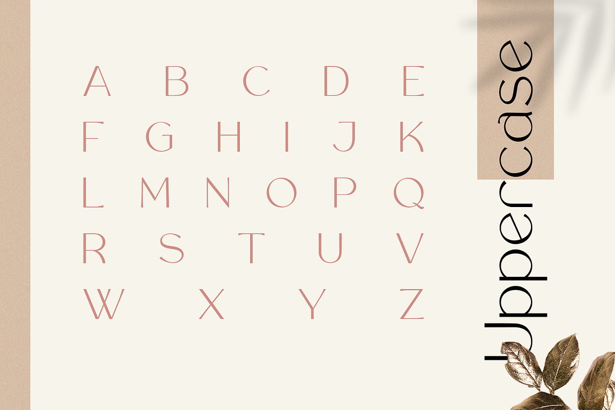 Rollgates Luxury, a Sans Serif Font by Cotbada_studio (Photo 8 of 12)