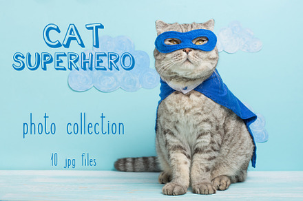 Cat in a superhero costume