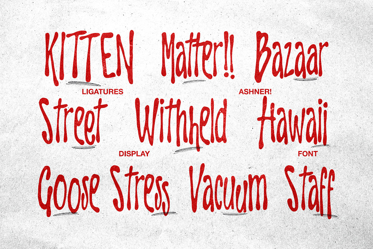 Ashner! - Display Font, a Handwritten Font by Hainz Studio (Photo 9 of 9)