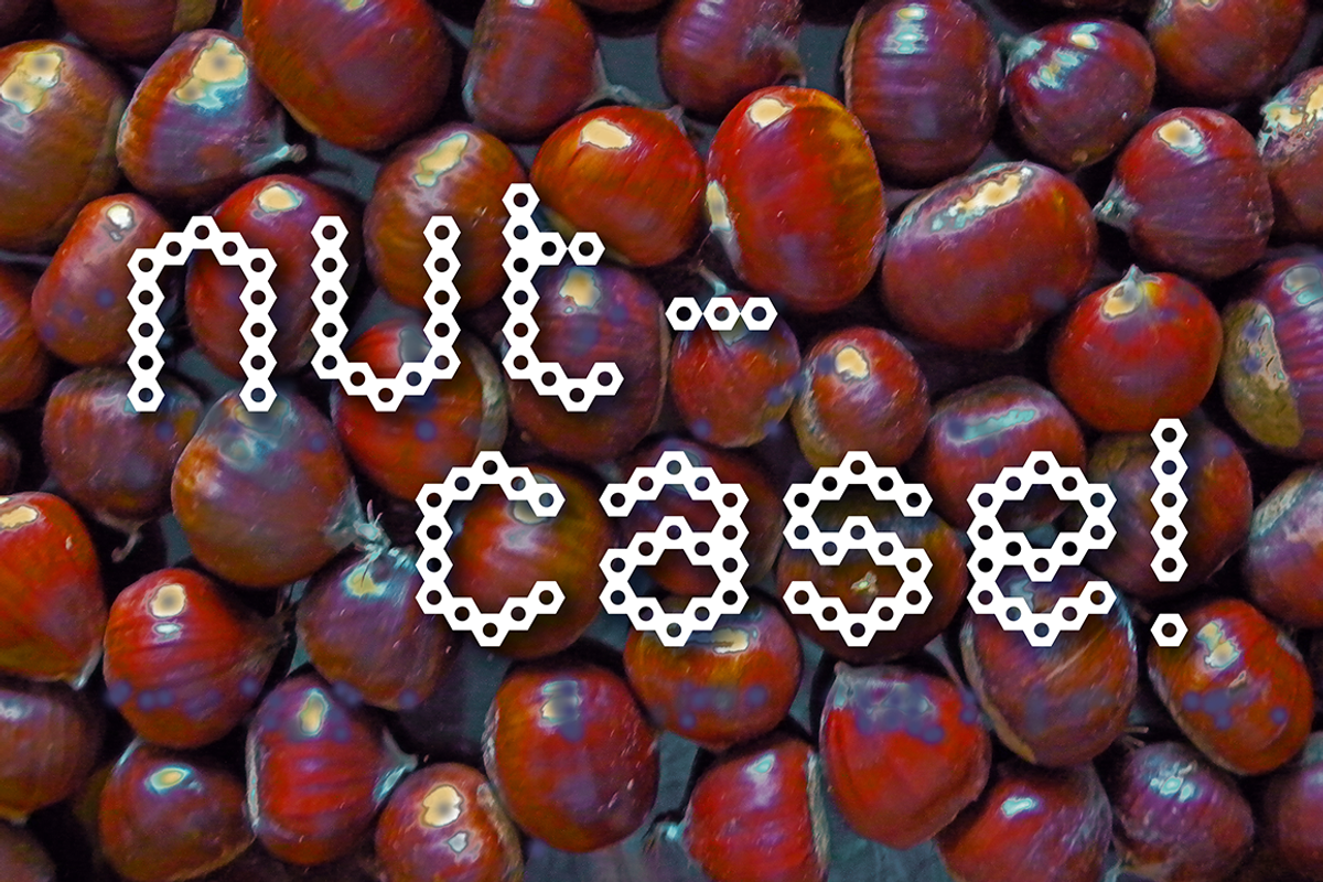 Nutcase preview 2