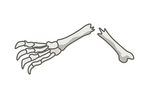Dinosaurs skeletons parts, an Animal Illustration by the8monkey