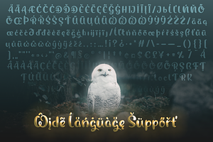 Magic Owl - An Enchanting Typeface