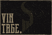 Brch Family Typeface, a Serif Font by Swistblnk Std. (Thumbnail 4 of 4)